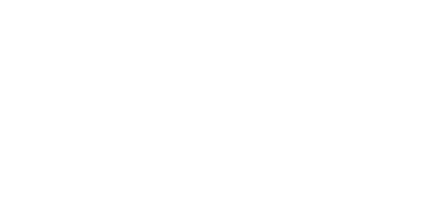 The Magicka Crusades